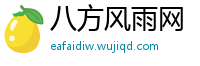 八方风雨网